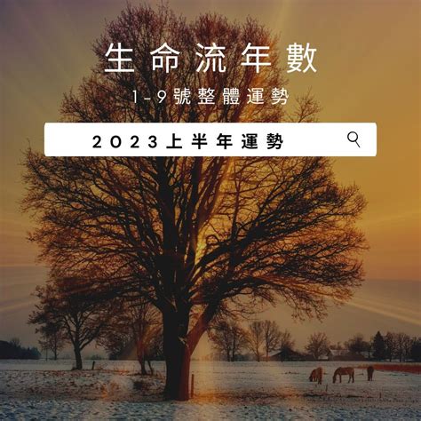 2023生命靈數流年4|2023生命流年數看整體運勢，找到年度幸運方向（含。